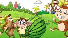 朵拉猴子吃瓜,朵拉猴子欢乐吃瓜记