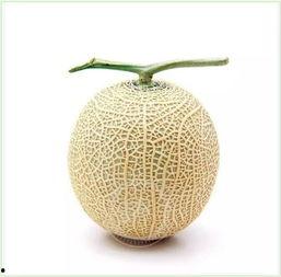 吃瓜都有哪些头像