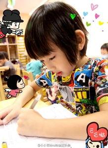 吃瓜说kimi,揭秘明星背后的故事与成长