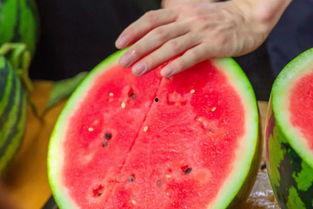 大学那些吃瓜事件,盘点那些引发热议的校园吃瓜事件