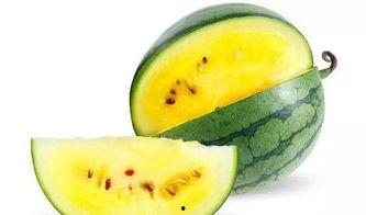 吃沙瓜还是脆瓜好吃些呢