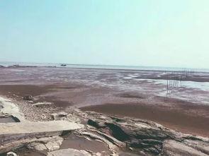 陪你看海吃瓜,共享瓜香时光