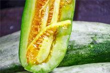 鞍山网红吃瓜,揭秘幕后故事与热门话题