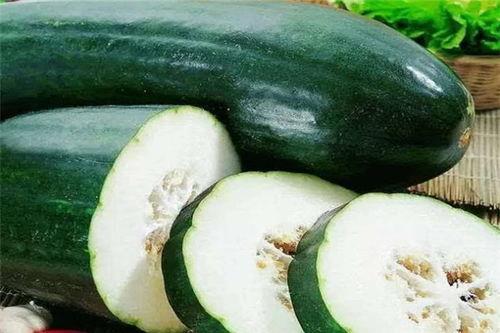 冬天吃夏天瓜