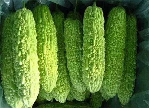 南宁各校吃瓜,揭秘各校美食风云录