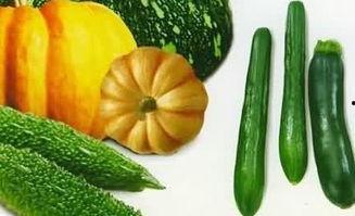 在水里吃瓜,探寻水中吃瓜的独特体验