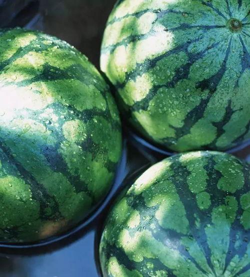 在水里吃瓜,探寻水中吃瓜的独特体验