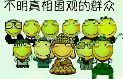 吃瓜群众派小星