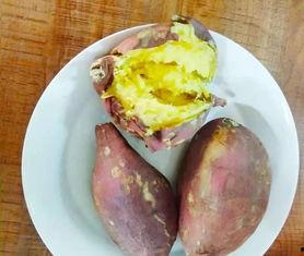 免费吃瓜地瓜,畅享田园美味新体验