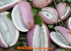 恩施吃瓜事情,揭秘背后真相与网络舆论风暴