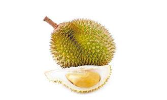 吃榴莲能吃鸭瓜