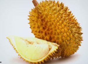 吃榴莲能吃鸭瓜