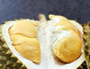 吃榴莲能吃鸭瓜