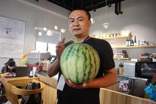 浦东人吃瓜视频,揭秘社区生活趣味瞬间