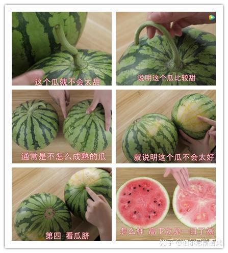 吃瓜和看瓜,揭秘网络围观背后的文化现象