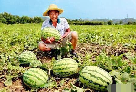 蹲在路边吃瓜的人