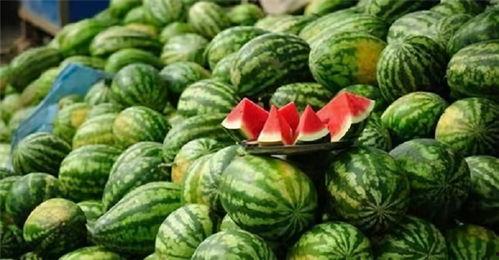 蹲在路边吃瓜的人