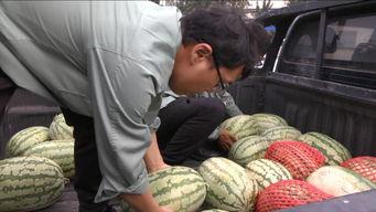 tian吃瓜的快乐,揭秘网络热词背后的趣味人生