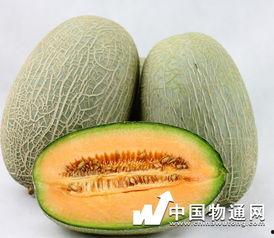 哈密瓜和虾一起吃,营养搭配新体验