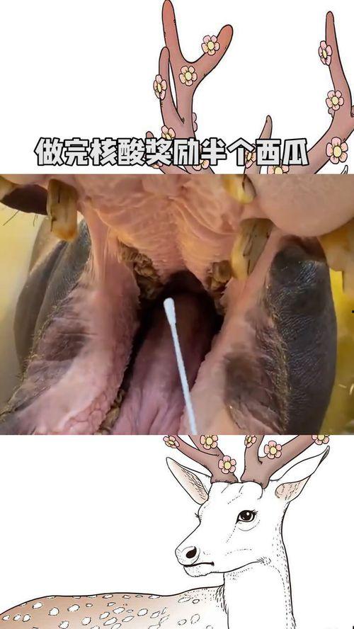 做完核酸吃瓜,轻松一“瓜”，健康生活新体验