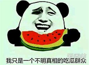 吃瓜话题的意思