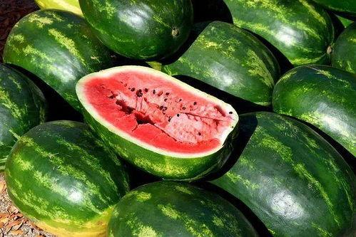 和平吃瓜视频素材
