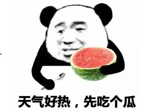 杭州吃瓜表情包,网络时代的趣味社交新宠