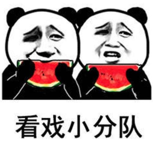 杭州吃瓜表情包,网络时代的趣味社交新宠