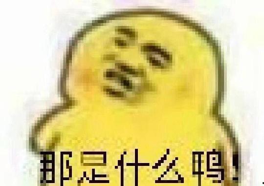杭州吃瓜表情包,网络时代的趣味社交新宠
