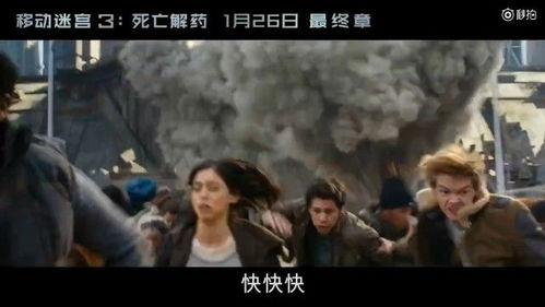 在末世当吃瓜群众穿书,吃瓜群众的穿书求生记