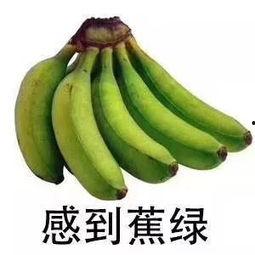 陈奕诺视角吃瓜,揭秘娱乐圈那些不为人知的瓜
