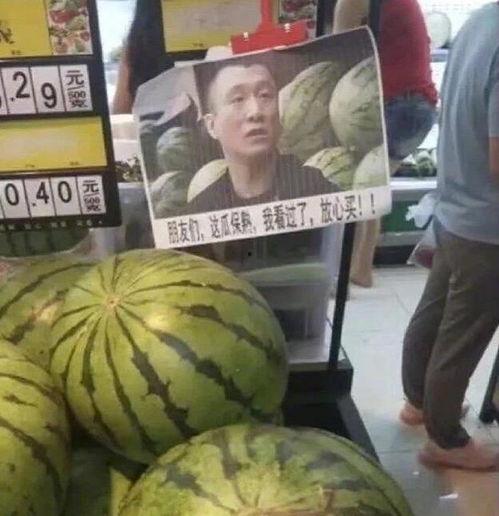 陈奕诺视角吃瓜,揭秘娱乐圈那些不为人知的瓜