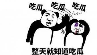 吃瓜届大佬,揭秘幕后真相与精彩瞬间