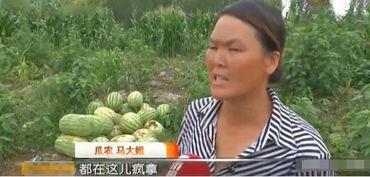 隔壁村吃瓜大妈,隔壁村吃瓜大妈的八卦风云录