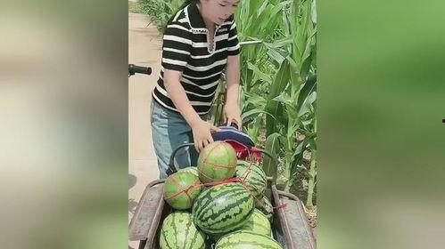 低价吃瓜,揭秘娱乐圈幕后真相