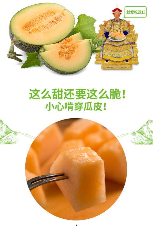 吃瓜46号,网络红人的崛起与影响力