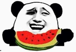 群众有瓜吃视频,群众共享“有瓜吃”的幸福时光