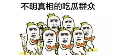 群众有瓜吃视频,群众共享“有瓜吃”的幸福时光