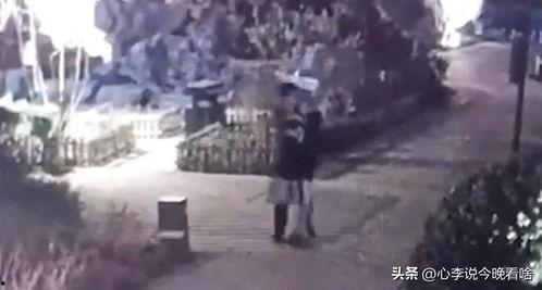 缉毒吃瓜现场视频