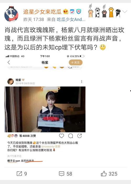 会长吃瓜营销号,揭秘娱乐圈那些不为人知的幕后故事